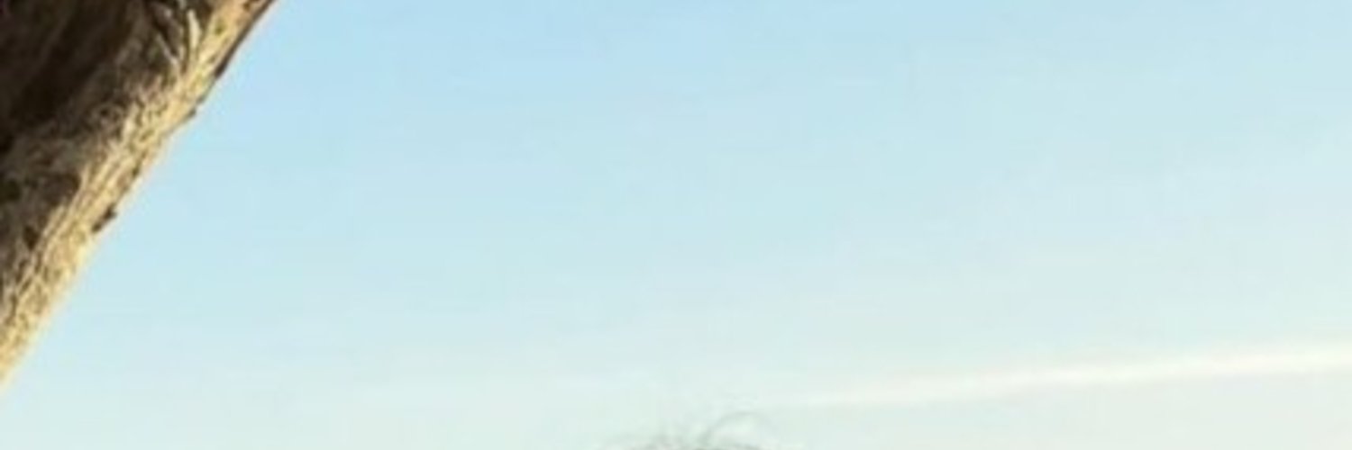 Salsa profile header